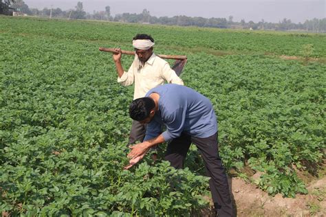 When farming becomes an ADDICTION!