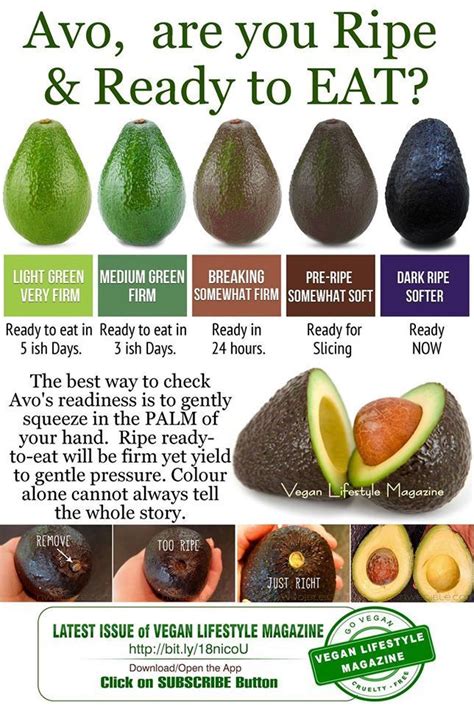 When is a avocado good to eat
