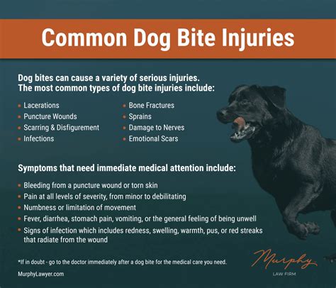 When is a dog bite serious