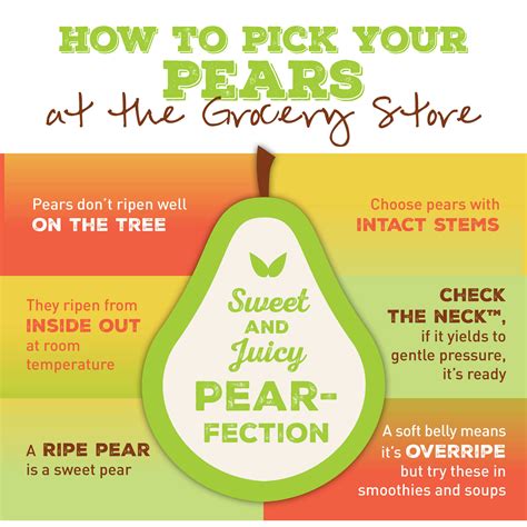 When is a pear ready to eat
