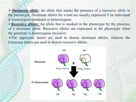 When is a recessive allele expressed