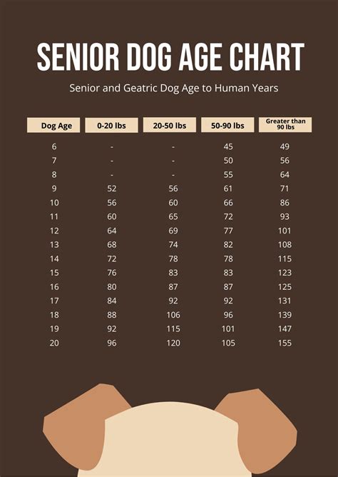 When is a small dog a senior