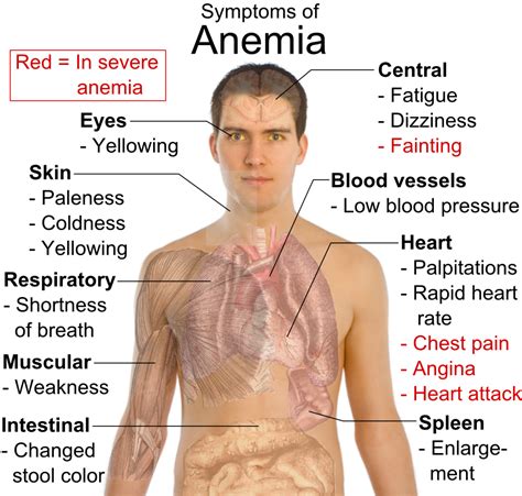 When is anemia dangerous