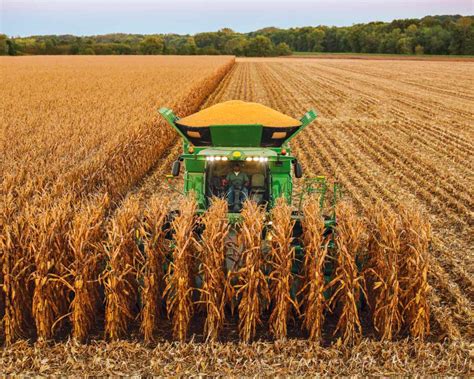 When is corn harvested in north carolina