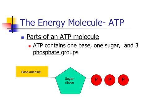 When is energy released from atp molecule
