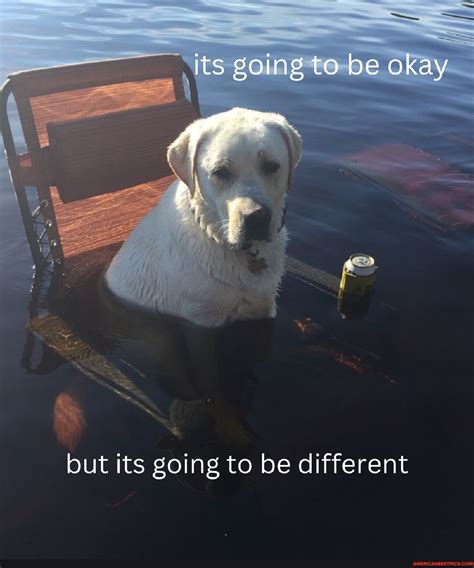 When is it going to be