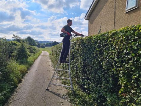 When is it legal to cut hedges