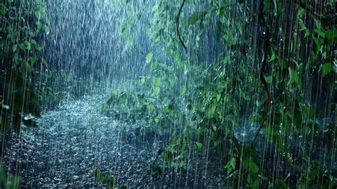 When is it raining next