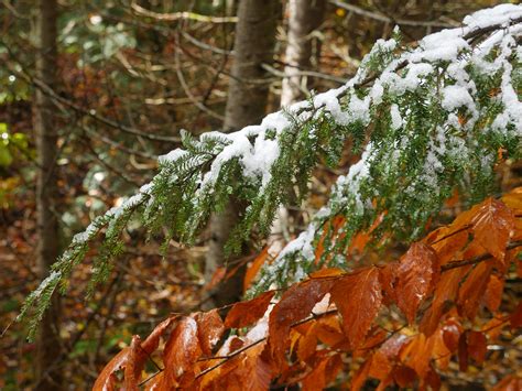 When is late fall