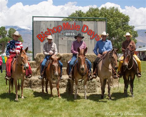 When is mule days in bishop ca