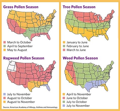 When is pollen worst