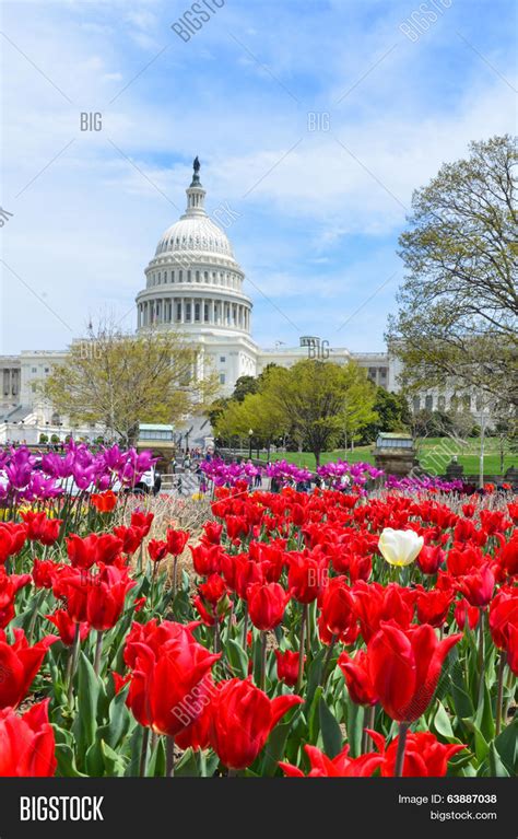 When is spring in america