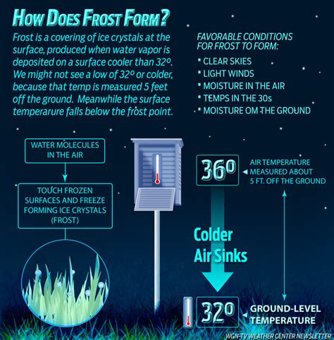 When is the Normal Last Freeze? Patchy frost and cool Canadian air in the forecast
