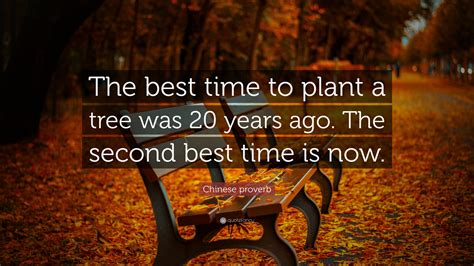 When is the best time to plant a tree. Autumn is one of the best times to plant a tree due to more consistent and moderate temperatures. The fall season is generally considered the best time to plant new trees for several reasons. The climate in the fall is generally more consistent than the spring, as the temperatures are cooler to moderate and do not vary as widely. 