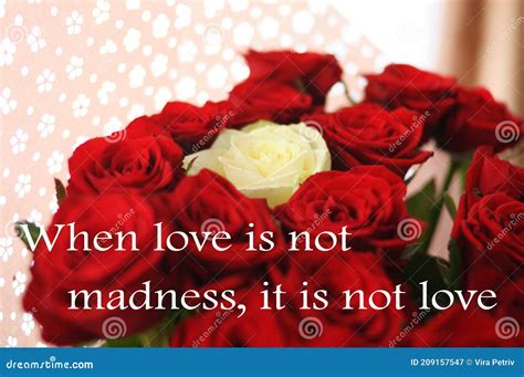 When love is not madness
