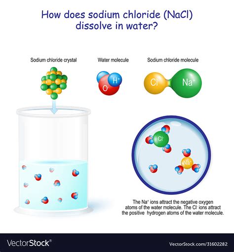 When nacl is dissolved in water