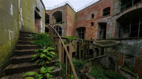 When people move out, wildlife moves in: 10 abandoned places reclaimed by nature