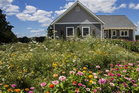 When planting a meadow, heed conditions in your garden, yard