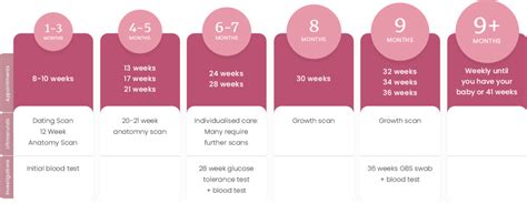 When should first ob appointment be