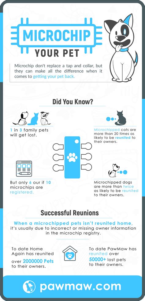 When should i microchip my puppy