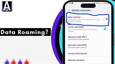 When should i use data roaming