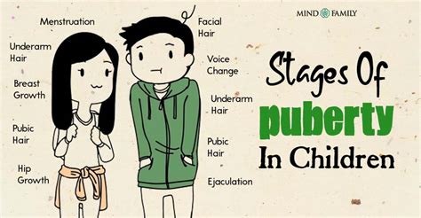 When should puberty start