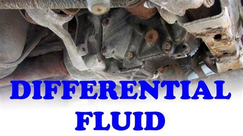 When should you change differential fluid