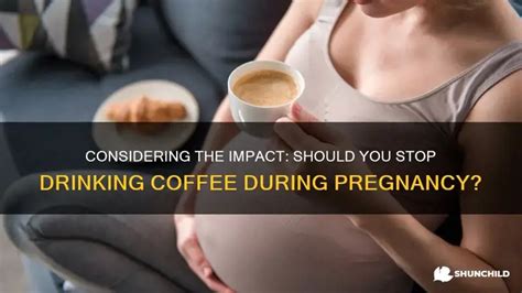 When should you stop drinking after conception