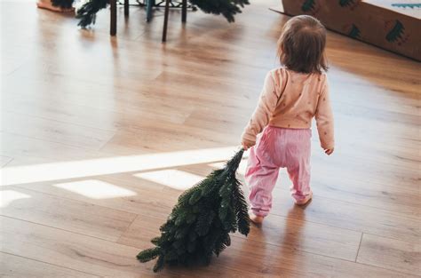 When should you take your tree down