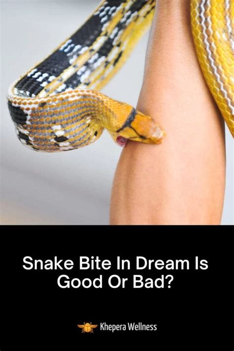 When snake bites in dream