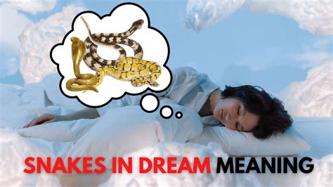 When snakes appear in dreams
