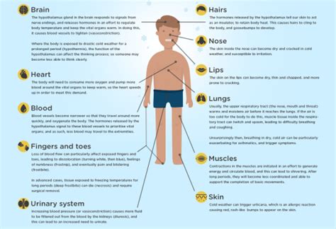 When the body starts to become too cold, which of the following occurs …