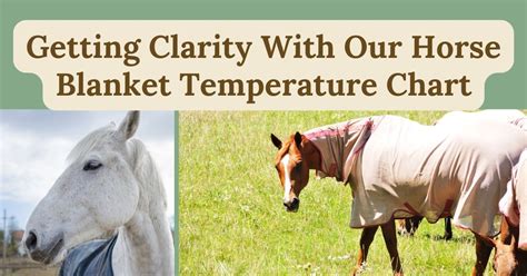 When to Blanket a Horse? Temperature Guide for Cold …