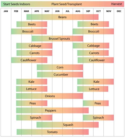 When to Plant Vegetables in Fort Worth, Texas - Garden.org