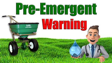 When to Put Down Pre Emergent in Spring Uncategorized