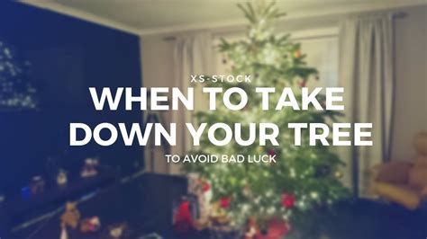 When to Take Down Your Christmas Tree to Avoid Bad Luck – SheKnows