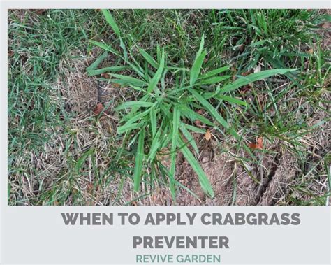 When to apply crabgrass preventer. When to Apply: Apply in the spring prior to the germination of crabgrass and other grassy weeds. The best time to apply is from late February through mid-May depending on the region. Spread this product a day or two after mowing and when the lawn is dry. Do not apply when seeding or under newly laid sod. Apply: Use a rotary or drop lawn spreader. 