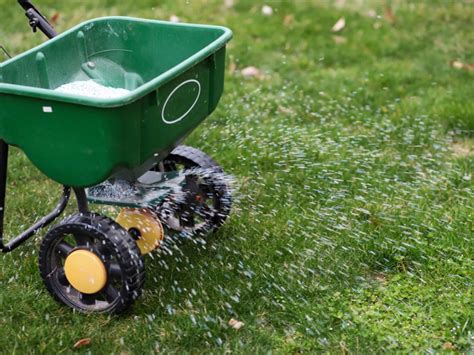 When to apply lawn fertilizer. Jul 18, 2022 ... If you make a late-fall fertilizer application, spring fertilization can be delayed until late May to early June. The application rate for this ... 