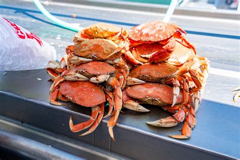 When to crab in oregon