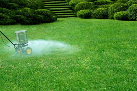 When to fertilize grass in nc