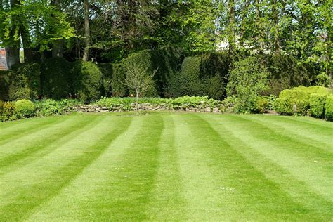 When to overseed lawn. Before overseeding your thin lawn, cut your grass shorter than normal and bag the clippings. After mowing, rake the lawn to help loosen the top layer of soil and remove any dead grass and debris. This will give the grass seed easy access to the soil so it can root more easily after germinating. 2. Choose a Grass Seed. 