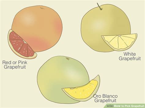 When to pick grapefruit in texas