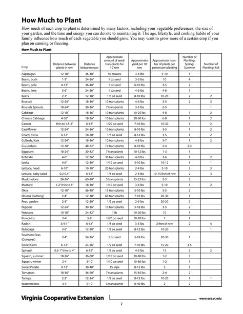 When to plant in virginia