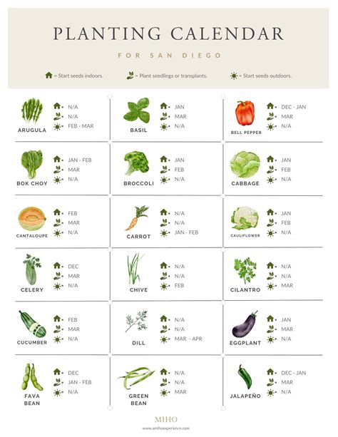 When to plant vegetables in san diego