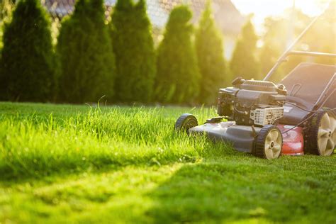 When to start cutting grass in spring