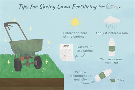 When to start fertilizing grass in spring