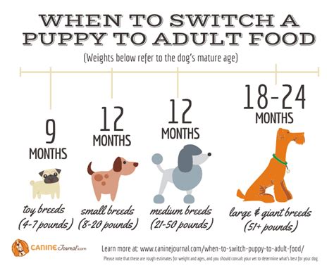 When to switch from puppy food to adult food. Make the transition a slow process over several days by mixing the new food with their current puppy food, as you gradually reduce the puppy food and increase the new adult dog food! To recap this puppy feeding schedule, here’s a simple sample timeline and feeding instructions you can follow: 6 weeks to 12 weeks: 