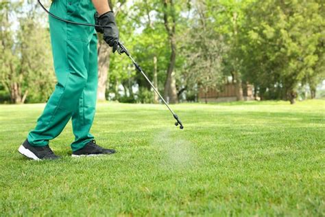 When to use pre emergent in oklahoma
