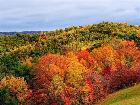 When will the fall colors peak in the Midwest?