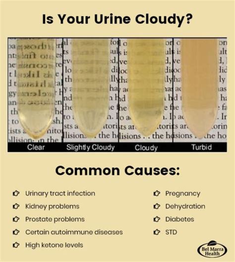 When your pee is cloudy